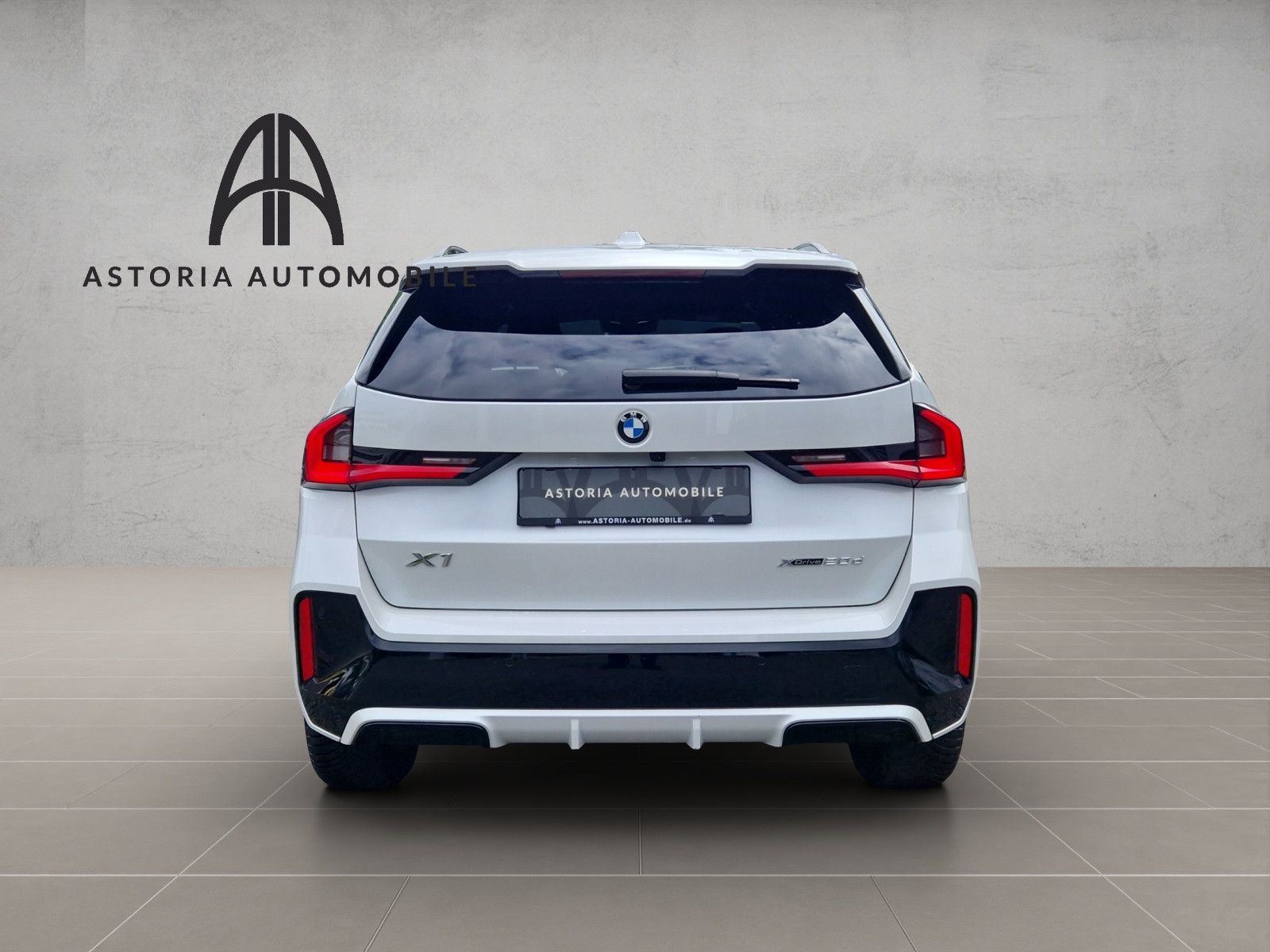 BMW X1 20 d xDrive M-Sport Hexacube DAB Kamera Alcan foto 9