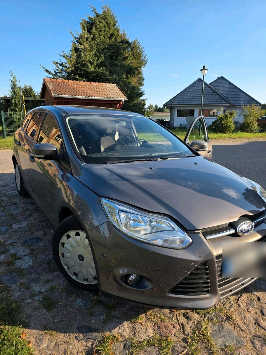 Ford Focus 2013 — rear view