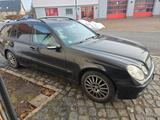 Mercedes-Benz E 320 T avantgarde  - Mercedes-Benz E 320 mit Benzin-Antrieb: Kombi