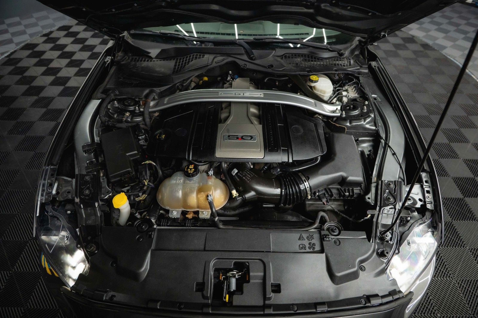 Fahrzeugabbildung Ford Mustang Shelby GT 500 5.0 V8 PREMIUM Performance