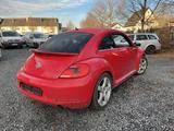 Volkswagen Beetle Sport 2.0|Bi-Xenon|Tempo.|TurboBlack|8x - Volkswagen Beetle: Turbo