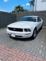 Ford Mustang S197 V6 USA (2. Hand + Handsc... - : Sportwagen, Usa
