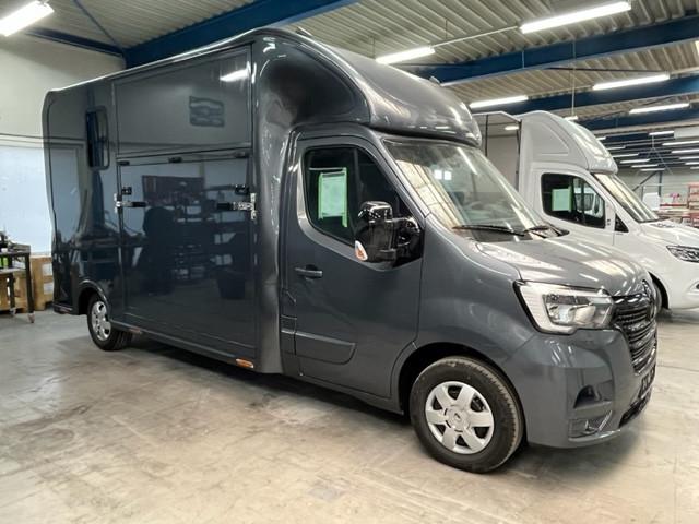 Renault Master 3.5 to Hengstausstattung
