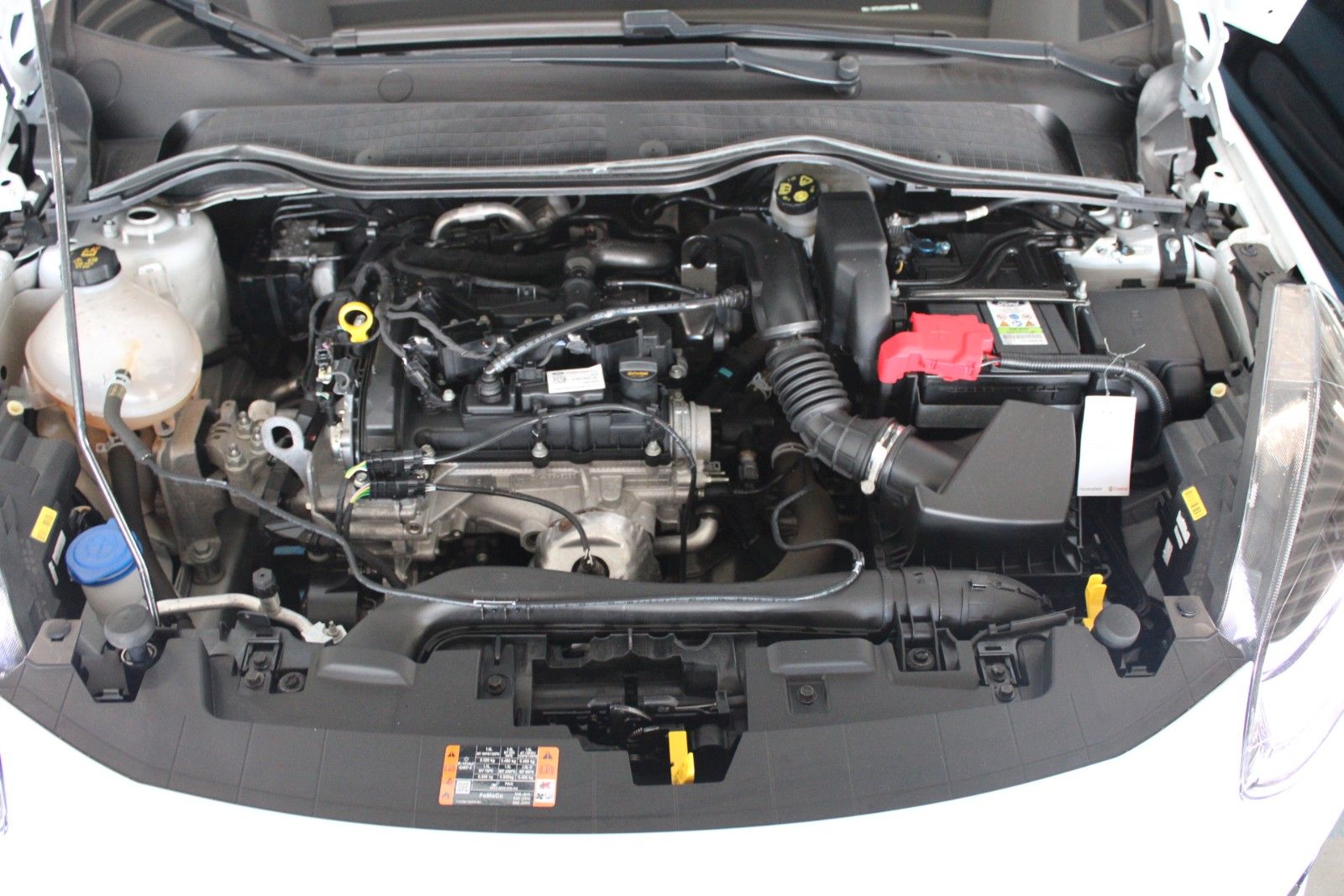 Fahrzeugabbildung Ford Fiesta Cool&Connect 5-trg KLIMA LED WinterPaket