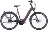 Pegasus Strong EVO 5R XL (28 Zoll) - Pegasus E-Bikes