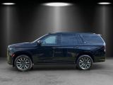 Cadillac Escalade Sport Platinum 8-SITZE HUD PANO AHK 3,5 - Cadillac Escalade: Geländewagen