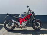 Suzuki Gladius SFV650 tiefergelegt - SUZUKI GLADIUS