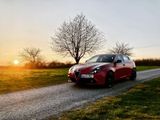 Alfa Romeo Einzelstück: Alfa Romeo Giulietta Tracktoo... - Alfa Romeo: Tr