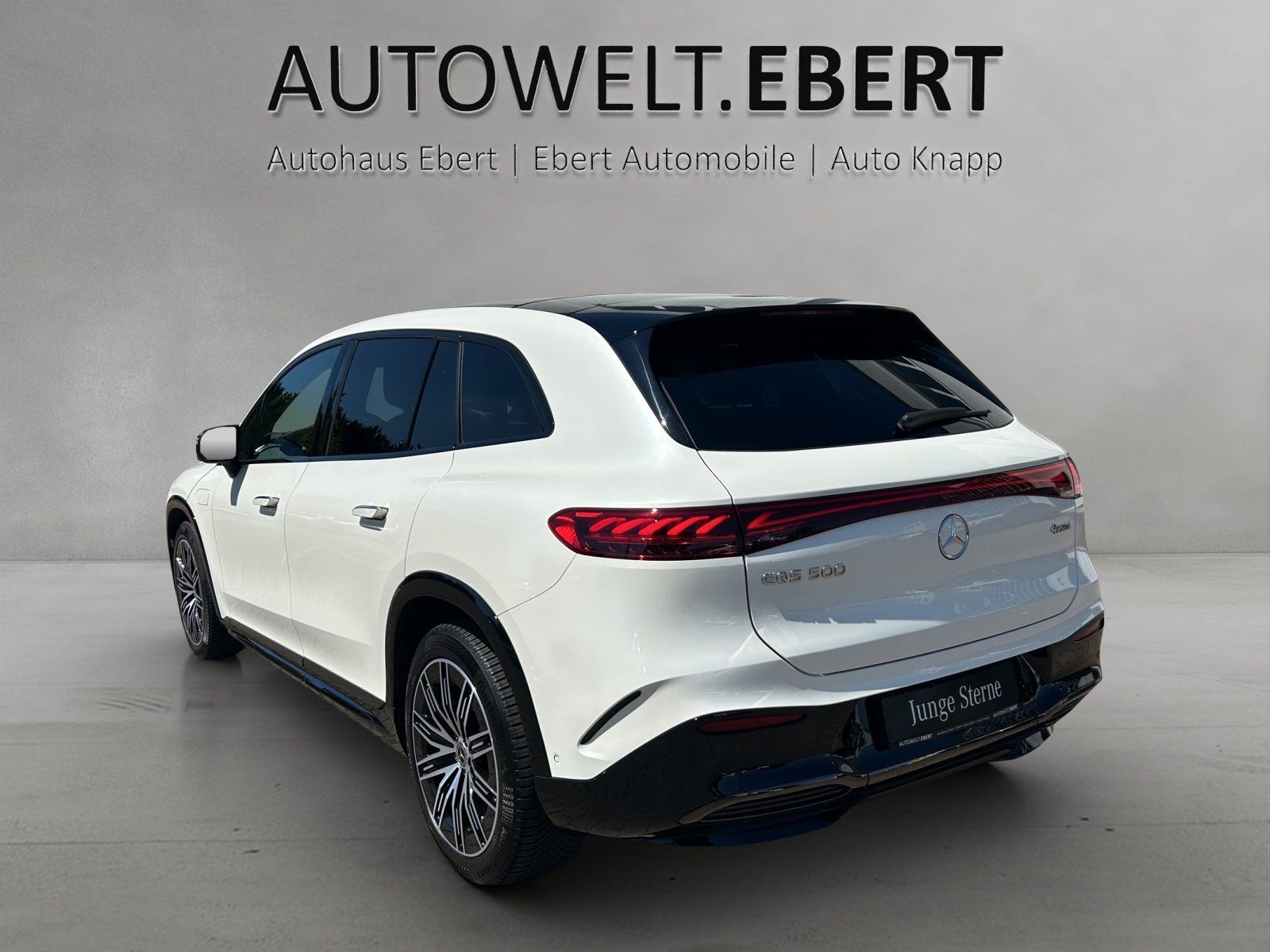Fahrzeugabbildung Mercedes-Benz EQS 500 SUV AMG Distro PANO Burme Airmatic 360°