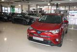 Toyota RAV4 Hybrid RAV 4 2.5 4x4 Team Deutschland - Toyota RAV 4 Gebrauchtwagen in Hamburg