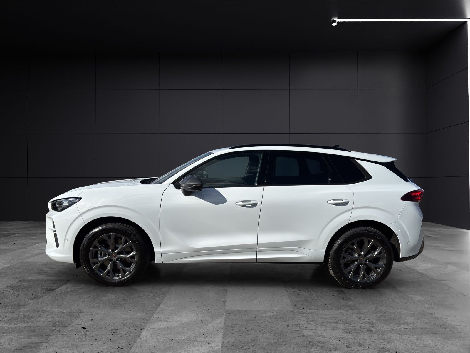 Fahrzeugabbildung CUPRA Terramar 2.0 TSI DSG 4x4 AHZ Matrix LED Pano Key