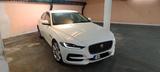 Jaguar XE 250PS ACC 360° Kamera Leder CarPlay TÜV 2027 - weiße Jaguar XE
