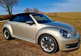 Volkswagen Beetle 1.2 TSI Design BMT Cabrio - Volkswagen Beetle: Beige