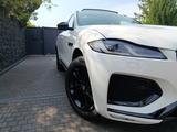 Jaguar kraftvolle & elegante Raubkatze (Gar.  bis 2029) - Jaguar aus 2024