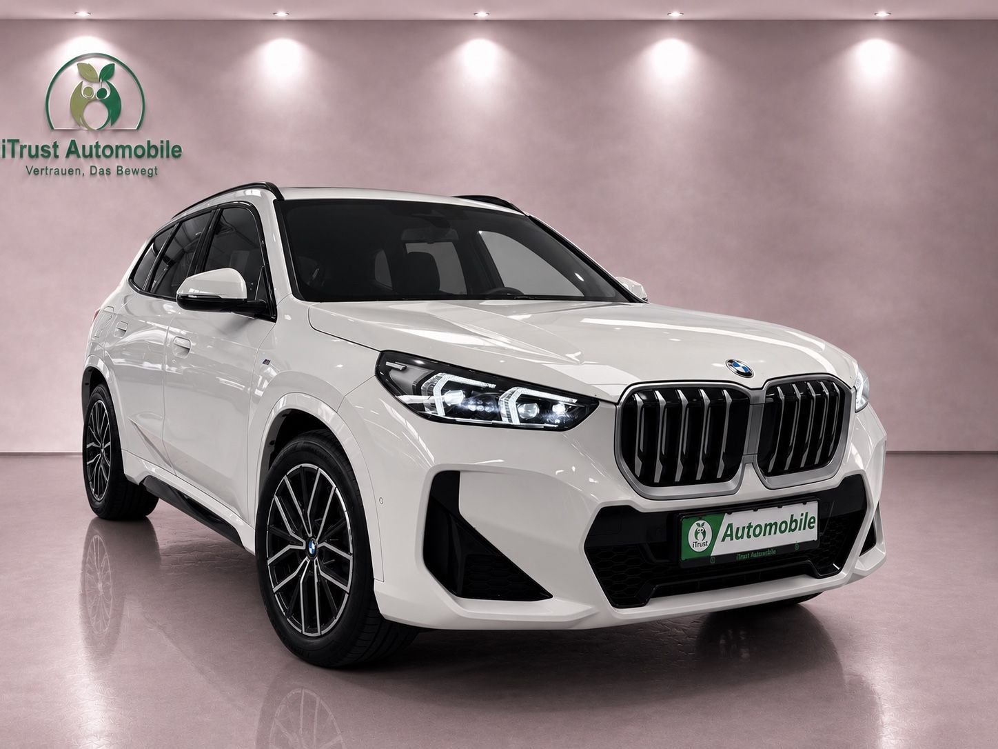 BMW X1 xDrive 23d M Sport LIC-PROF DA-PROF KAMERA