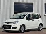 Fiat Panda Easy USB Klima El Fenster City - Fiat Panda: Easy