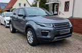 Rover Renge Rover Evoque - gebrauchte Rover SUV & Geländewagen