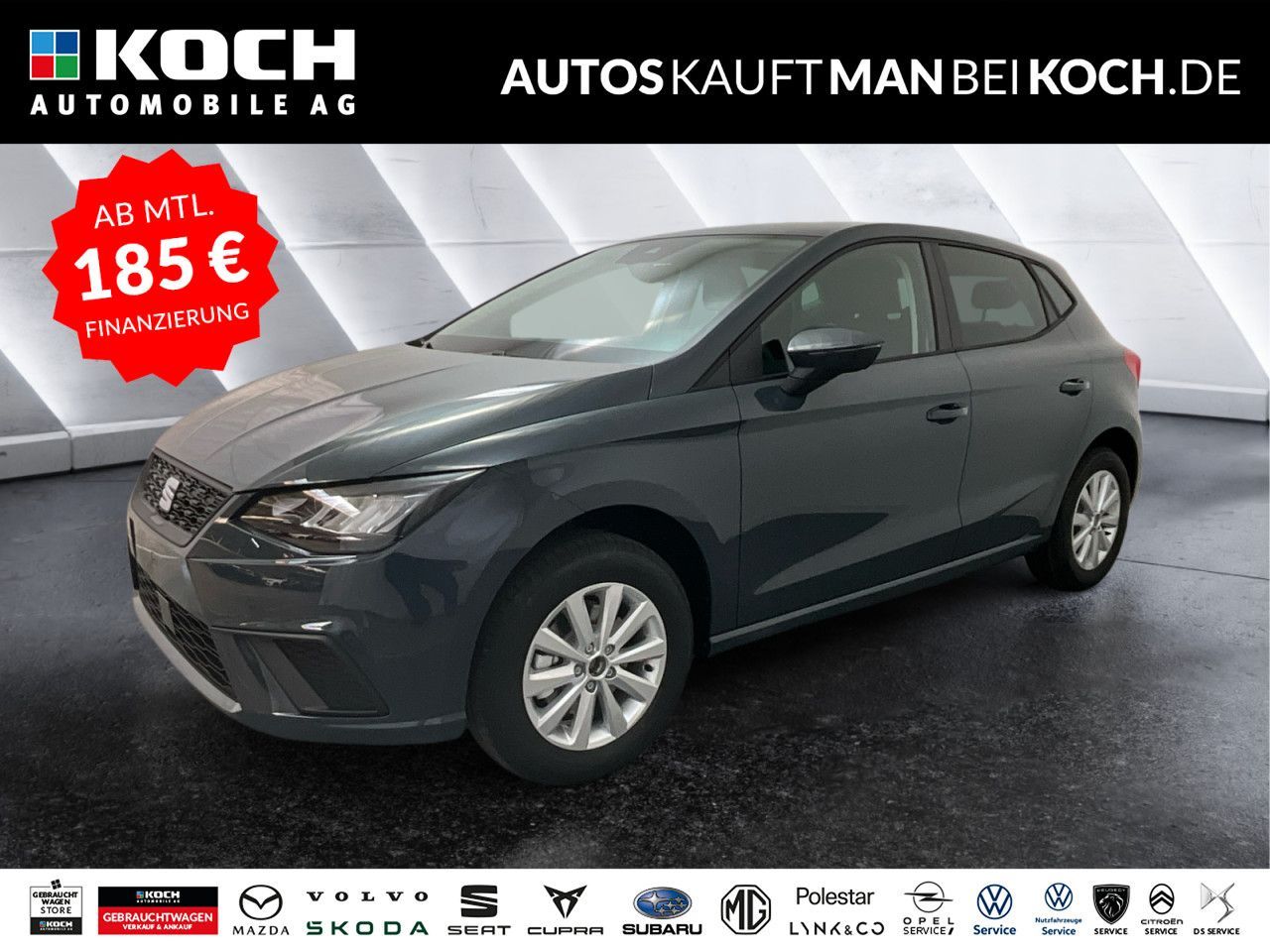 Seat Ibiza Road Edition 1.0 TSI NAVI SHZ ALLWETTER