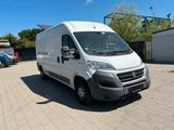 Fiat Ducato L4H2/Maxi-lang/Hochdach/Klima/Kamera - Fiat Ducato: Hochdach