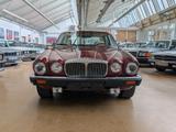 Jaguar Daimler Double Six - Jaguar Gebrauchtwagen von 1992
