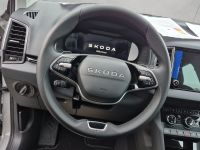 Skoda Karoq - Vorschau Bild 11