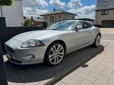 Jaguar XK V8, sehr guter Zustand, 20 Zoll,... - Jaguar XK: Jag