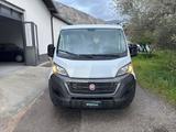 Fiat FIAT Ducato 290 Panorama 30 2020 panorama 30 CH1 - Fiat Ducato: 8 Sitzer