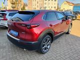 Mazda CX-30 X 2.0L 186PS SELECTION, LEDER, MATRIX-LED - Mazda CX-30 mit Hybrid-Antrieb: Geländewagen, Automatik