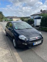 Fiat Punto Evo1.2 8V Active (Garagenfahrzeug), Top! - Fiat Punto Evo Gebrauchtwagen