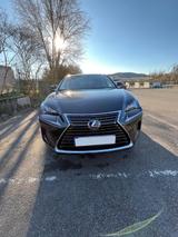 Lexus NX 300 300h E-FOUR Executive Line Executive Line - Lexus: 300h