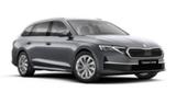 Skoda Octavia Combi Selection Plus 1.5 TSI 150 PS, ... - Skoda Octavia: Selection Plus