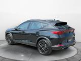Cupra Formentor 2.0 TSI VZ Tribe Edition Navi LED - Cupra Formentor: Tribe Edition