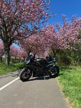 Yamaha R6 RJ15 Akrapovic, Rizoma, Öhlins - YAMAHA R6 RJ 15