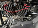 Harley-Davidson Softail Springer Bobber Oldstyle - HARLEY-DAVIDSON SPRINGER SOFTAIL