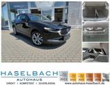 Mazda CX-30 Exclusive BOSE 360° Einparkhilfe LogIn Mat - Mazda: Login
