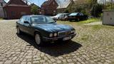Jaguar XJ12 6.0 Auto XL12 - Jaguar: 12