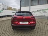 Mazda CX-30 Homura e-Skyactive-G 2.0 M Hybrid - Mazda CX-30: Limousine
