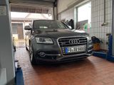 Audi SQ5 3.0 TDI tiptronic quattro - - Audi SQ5 aus 2014