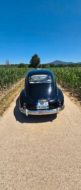 Peugeot 203 C - Peugeot: 203