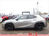 Lexus UX 2.0 250 h - Lexus Gebrauchtwagen