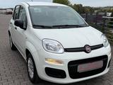 Fiat Panda Easy 1Hand 51 kW - Fiat Panda EASY mit Benzin-Antrieb