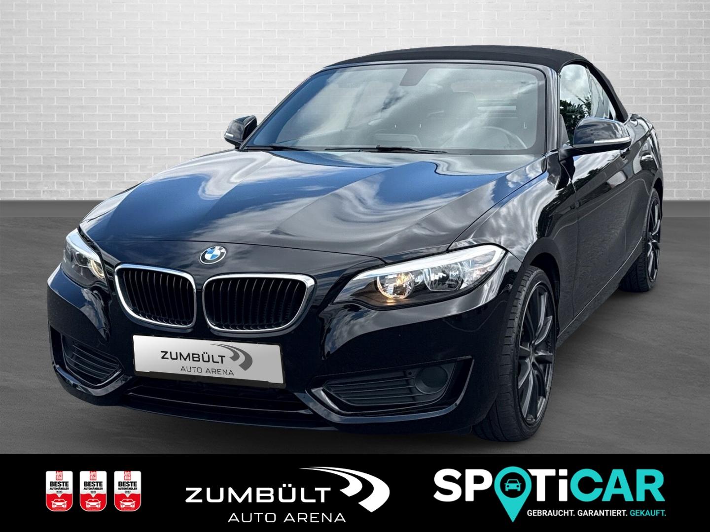 BMW 218 i Cabrio 2er - 218i +SHZ Kamera CarPlay DAB 