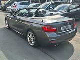 BMW 220 iA Cabrio M Sport Technik/AHK/Garantie/ - gebrauchte BMW Roadster