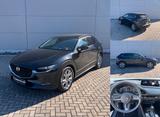 Mazda CX-30 2.0 M HYBRID AWD 6AG AL-SELECTION A18 BOS - Mazda CX-30 Gebrauchtwagen