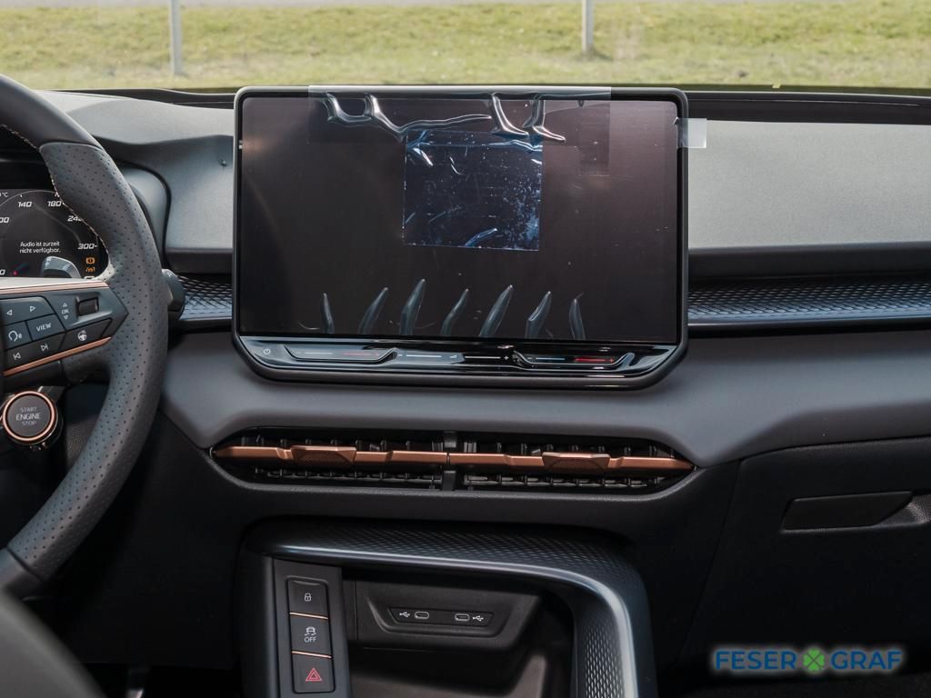 Cupra Terramar - Bild 8