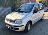Fiat Panda 1.1 8V - Fiat Panda in Hamm