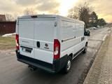 Fiat Ducato Kasten 30 mit Sortimo Ausrüstung - Fiat Ducato von privat