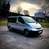 Opel Vivaro - Opel Vivaro aus 2009