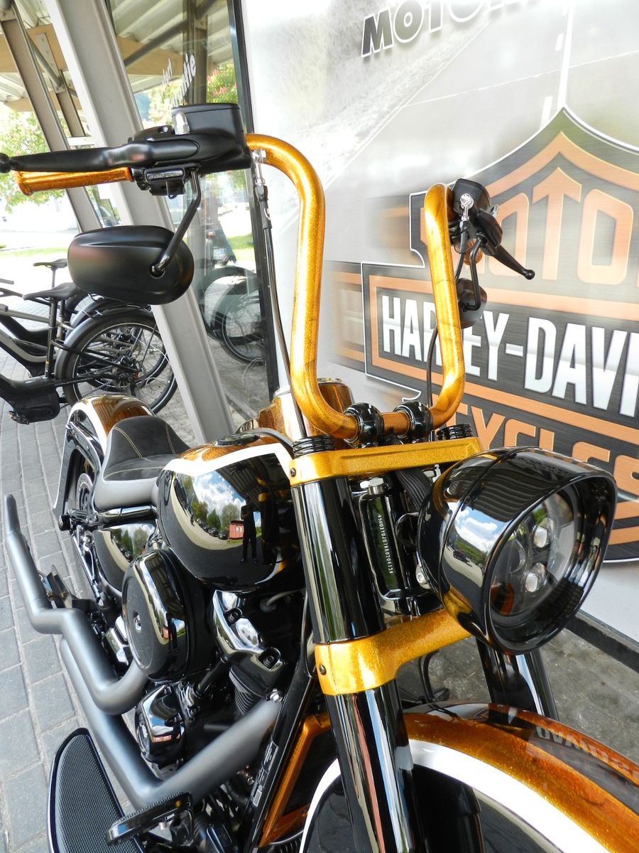 Fahrzeugabbildung Harley-Davidson Softail Slim Chicano Style