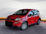 Fiat Panda Pandina Mild Hybrid 1.0 Klima PDC - Fiat Panda in Oldenburg